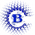 blueroom.at